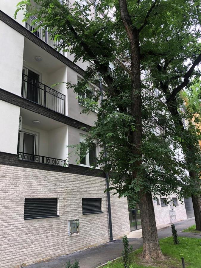 Linden Flower Szabadka Kültér fotó